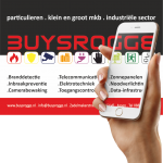 Alarm-inbraakbeveiliging door Buysrogge